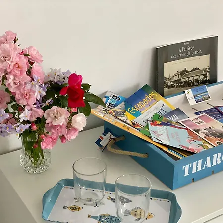 Cosy Rdc Avec Veranda, Jardin Prive Et Wifi, Proche - - Fr-1-306-1256 * 圣米歇尔-谢夫谢夫