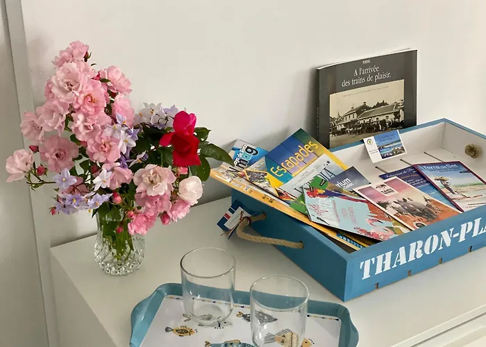 Cosy Rdc Avec Veranda, Jardin Prive Et Wifi, Proche - - Fr-1-306-1256 * Saint-Michel-Chef-Chef